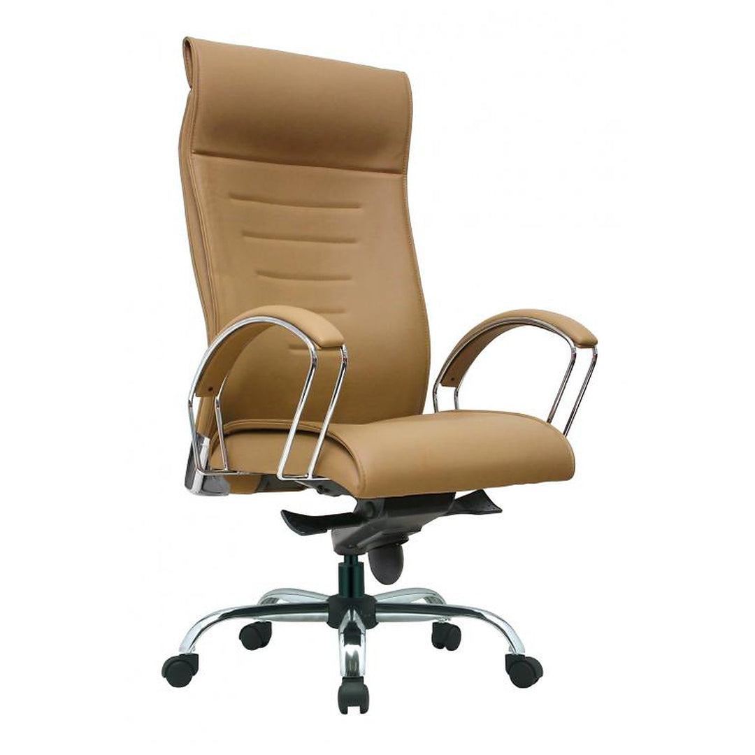 ZONE Ergonomic Director Chair