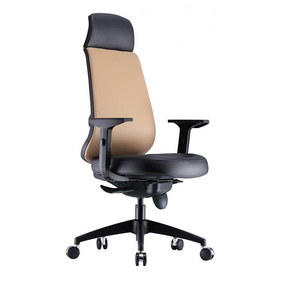 RICO Ergonomic Mesh Chair