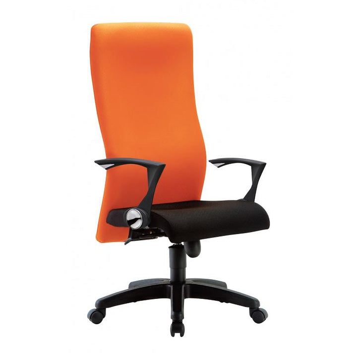 IMAGE I Ergonomic Swiveling Chair