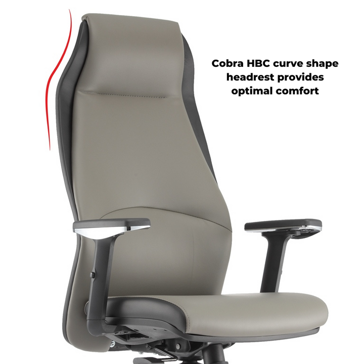 COBRA Ergonomic Swiveling Chair - Lian Star