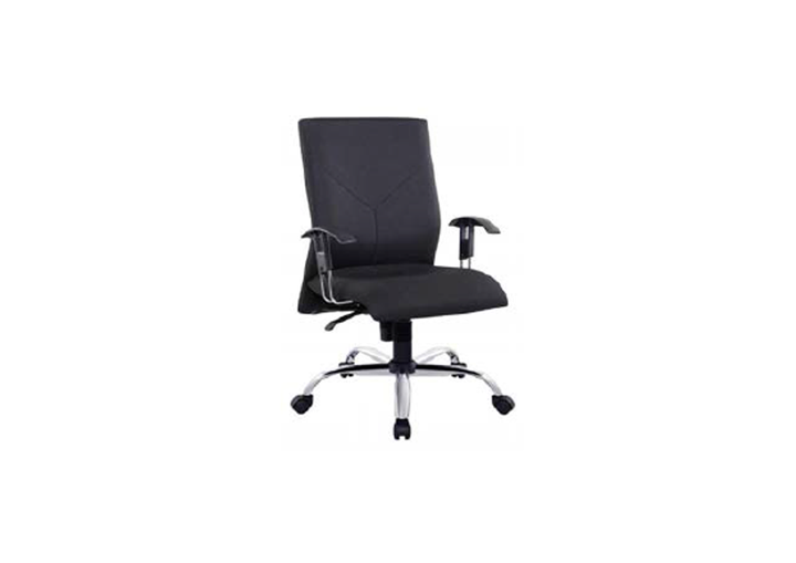 Dandelion Executive Low Back office chair with armrest