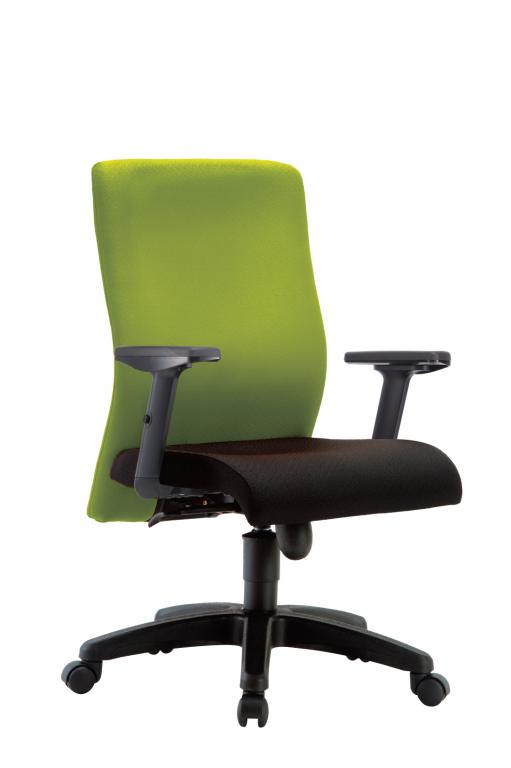 IMAGE II Ergonomic Swiveling Chair - Lian Star