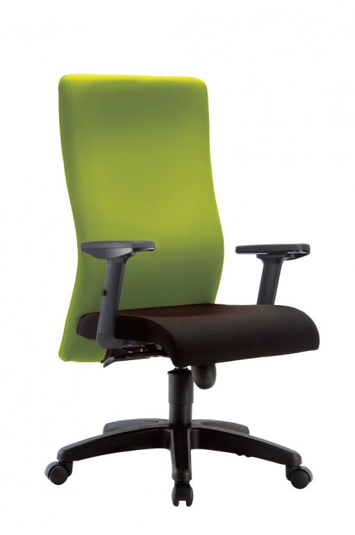 IMAGE II Ergonomic Swiveling Chair - Lian Star