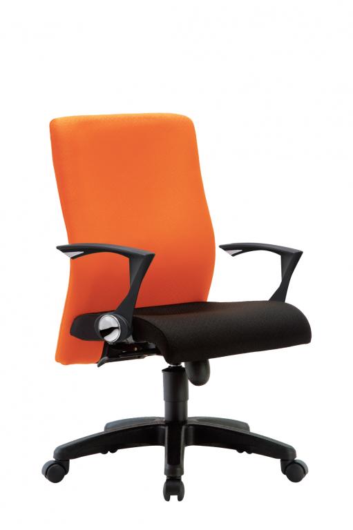 IMAGE I Ergonomic Swiveling Chair - Lian Star