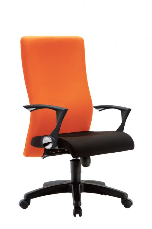 IMAGE I Ergonomic Swiveling Chair - Lian Star