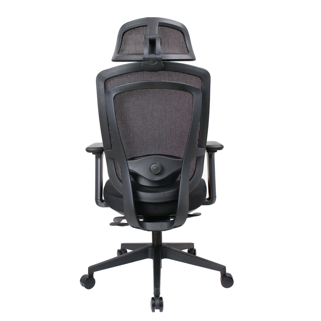 Ergoflex elite Black chair — original rear view