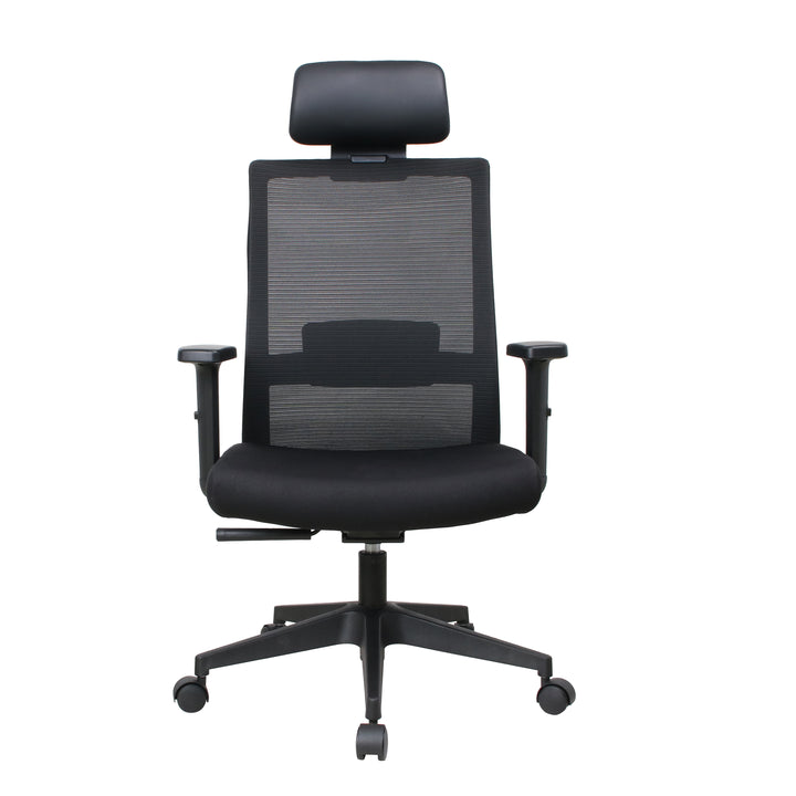 Ergoflex plus Black chair — original front view