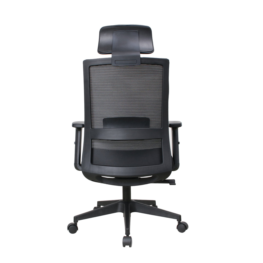 Ergoflex plus Black chair — original rear view