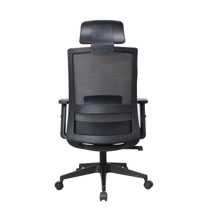 Ergoflex plus Black chair — original rear view