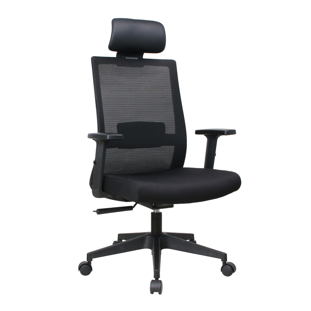 Ergoflex plus Black chair — original three-quarter view