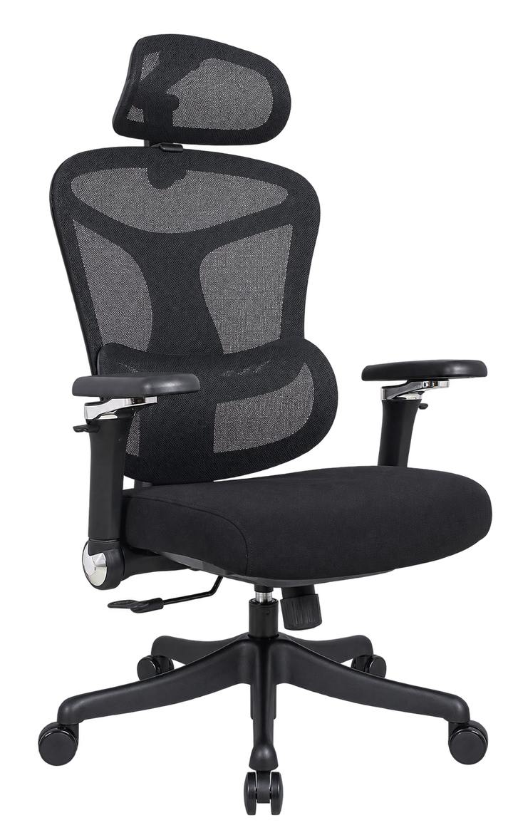 Ergoflex Pro Black chair — transparent hero