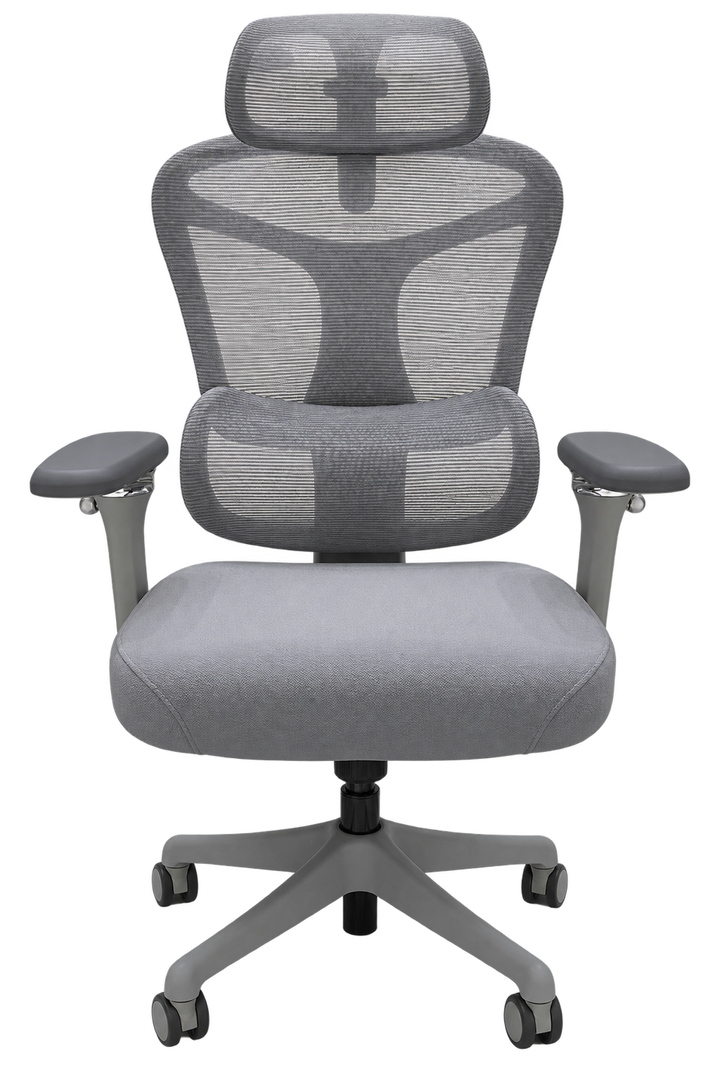 Ergoflex Pro Grey chair — transparent hero
